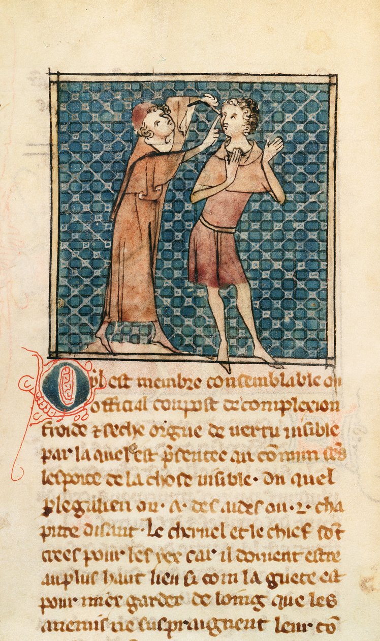 Ms 2030 fol.17 Okulistyka, ilustracja z La Chirurgie de Maitre Henri de Mondeville autorstwa French School