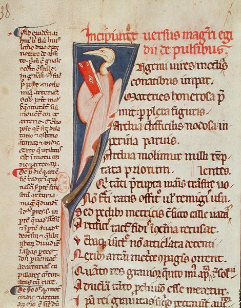Ms 2046 fol.438 Ptak trzymający księgę Gillesa de Corbeil (1165-1222) z „Aforyzmów” Hipokratesa (ok. 460-ok. 377 pne) z komentarzem Klaudiusza Galenusa (ok. 130-ok. 201) (welinowy) autorstwa French School