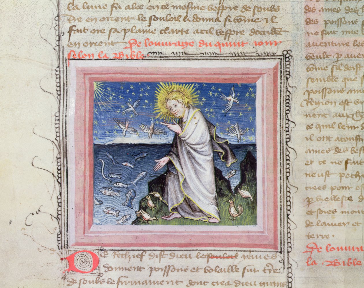 Ms 313 Stworzenie zwierząt, z Biblii des Grands Augustins autorstwa French School