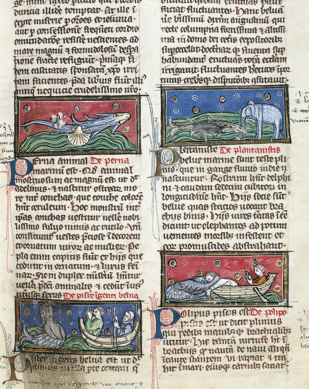 Ms 320 Fol.116 Morskie potwory, z „Natury rzeczy” Thomasa van Cantimpre (1201-72) (na welinie) autorstwa French School