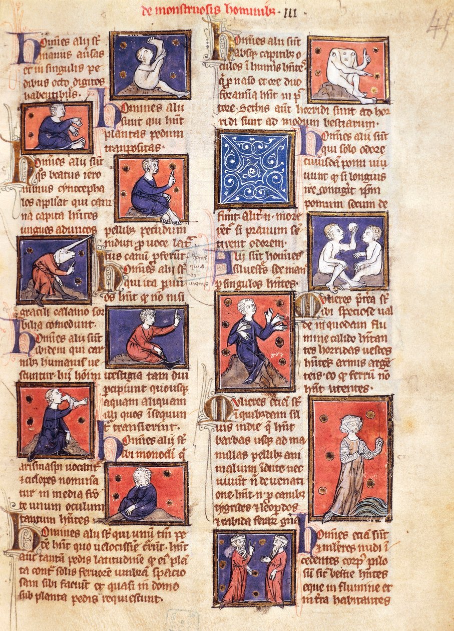 Ms 320 Fol.45r Monsters, z „De Natura rerum” Thomasa van Cantimpre (1201-72) (welum) autorstwa French School