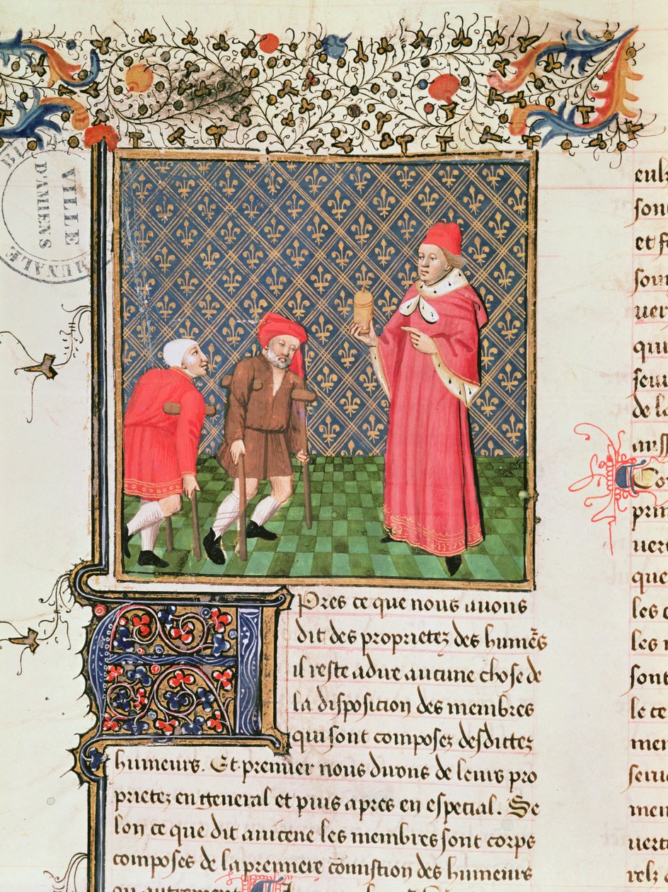 Ms 399 fol.35v Żebracy, z Księgi właściwości rzeczy Barthelemy langlais autorstwa French School