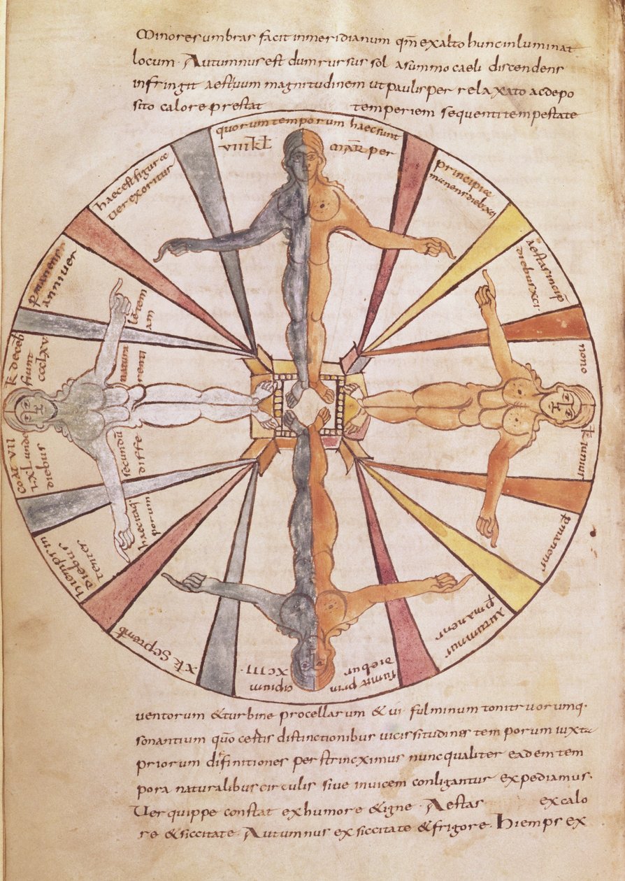 Ms 422 fol.6v Koło pór roku i miesięcy, z De Natura Rerum św. Izydora z Sewilli autorstwa French School