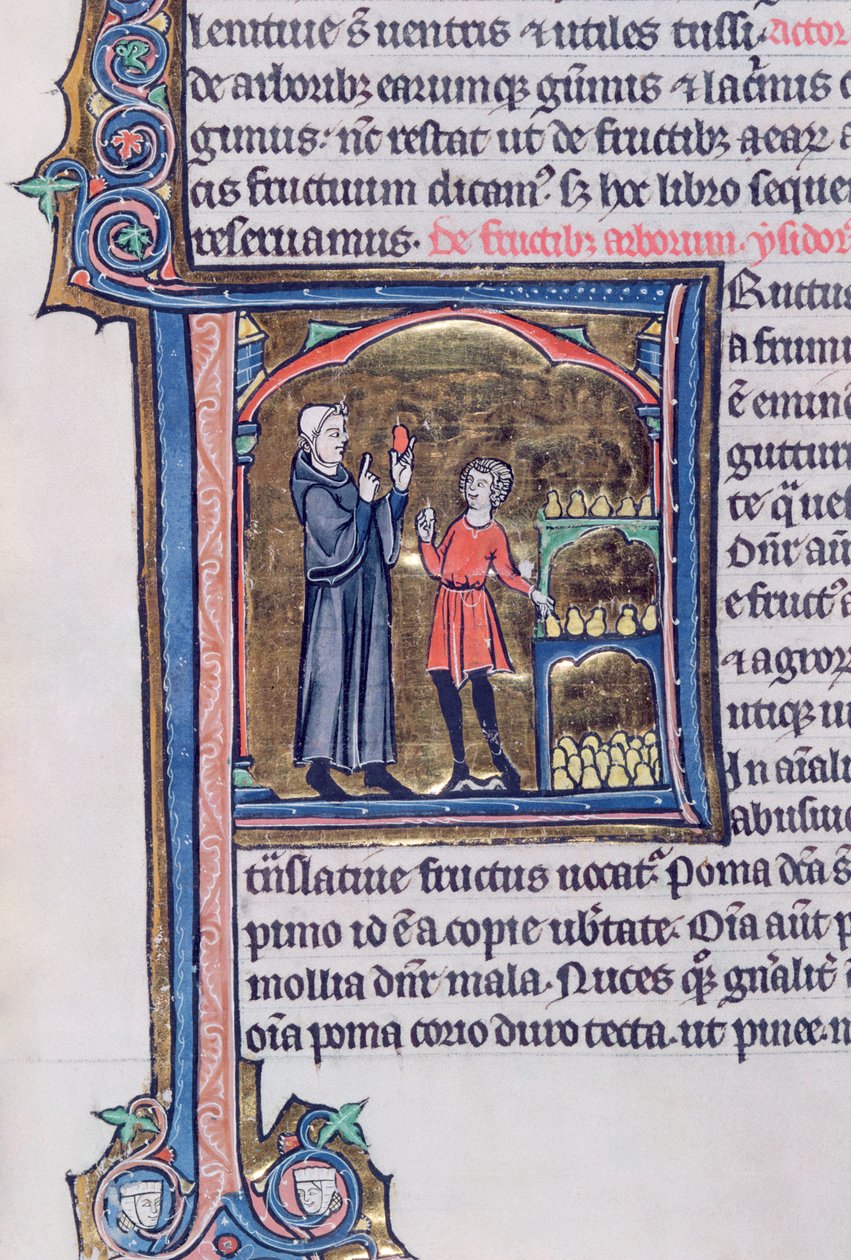 Ms 426 fol.135 Nauczanie najlepszego sposobu konserwowania gruszek, z Le Miroir de la Nature Vincenta de Beauvais autorstwa French School