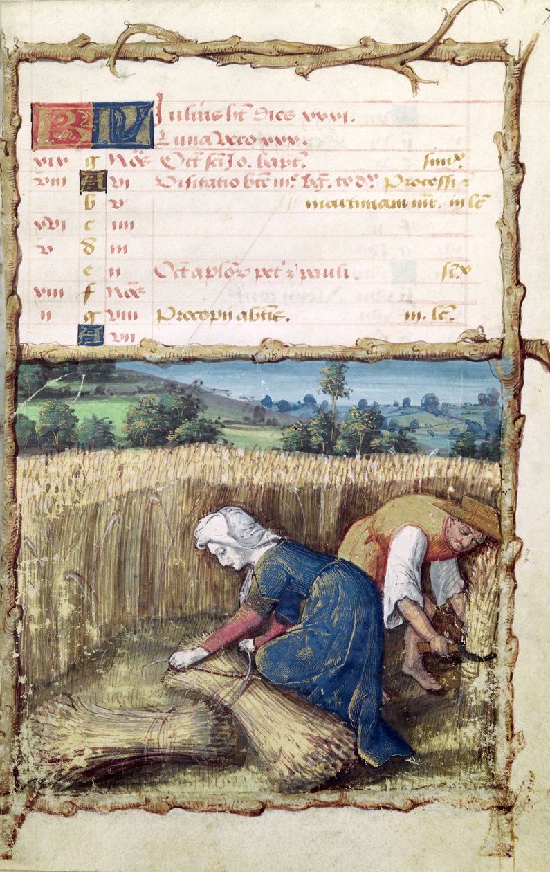 Ms 438 Miesiąc lipiec: Żniwa i zbieranie pszenicy, z Księgi Godzin, 1490 autorstwa French School