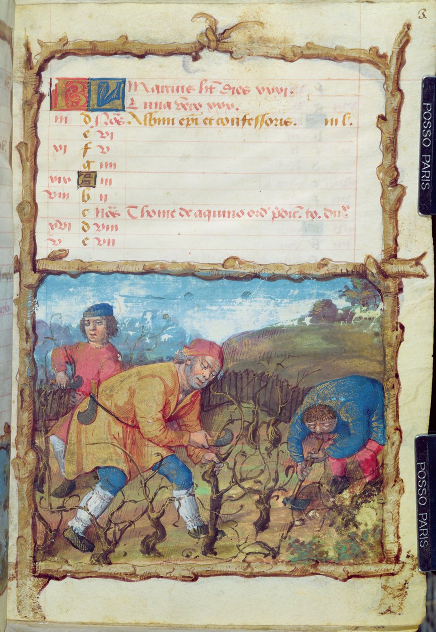 Ms 438 Miesiąc marzec: Przycinanie winorośli, z Księgi Godzin, 1490 autorstwa French School