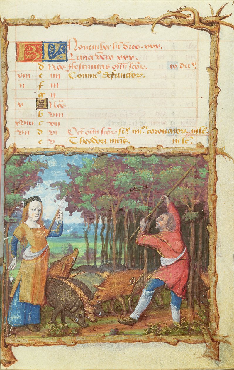 Ms 438 Miesiąc listopad: Zbieranie żołędzi, z Księgi Godzin, 1490 autorstwa French School