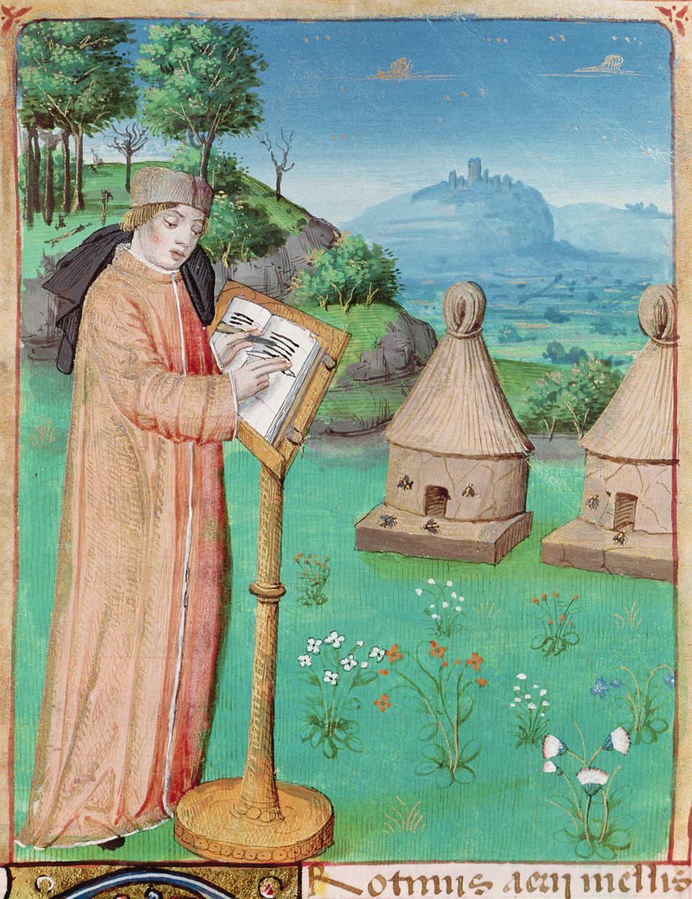 Ms 493 fol.45 Wergiliusz (70-19 pne) piszący Życie pszczół, z Georgik Wergiliusza z komentarzem Serwiusza, 1469 autorstwa French School