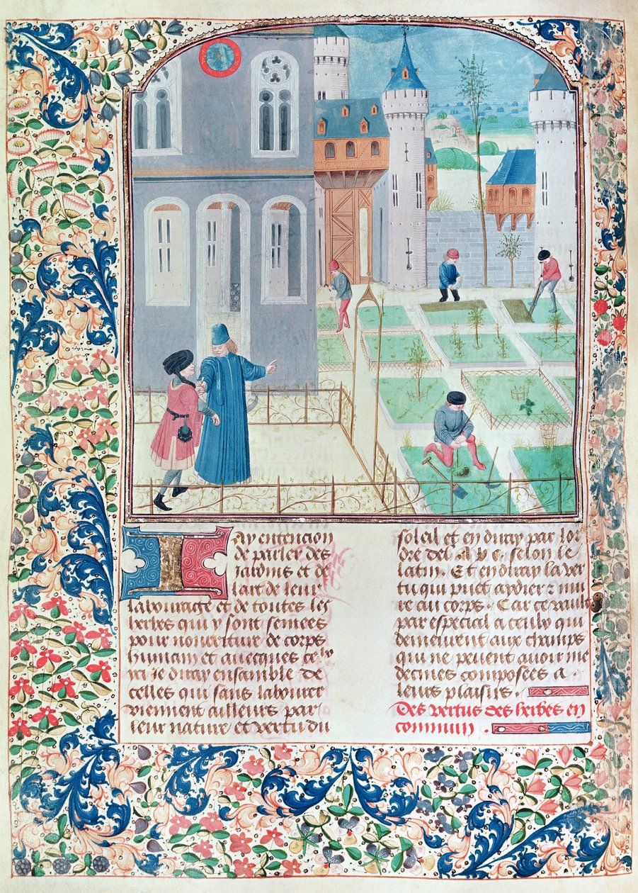 Ms 5064 f.151v Ogród, ilustracja z Le Livre des Prouffitz Champestres autorstwa Pietro de Crescenzi (1230-132021) autorstwa French School