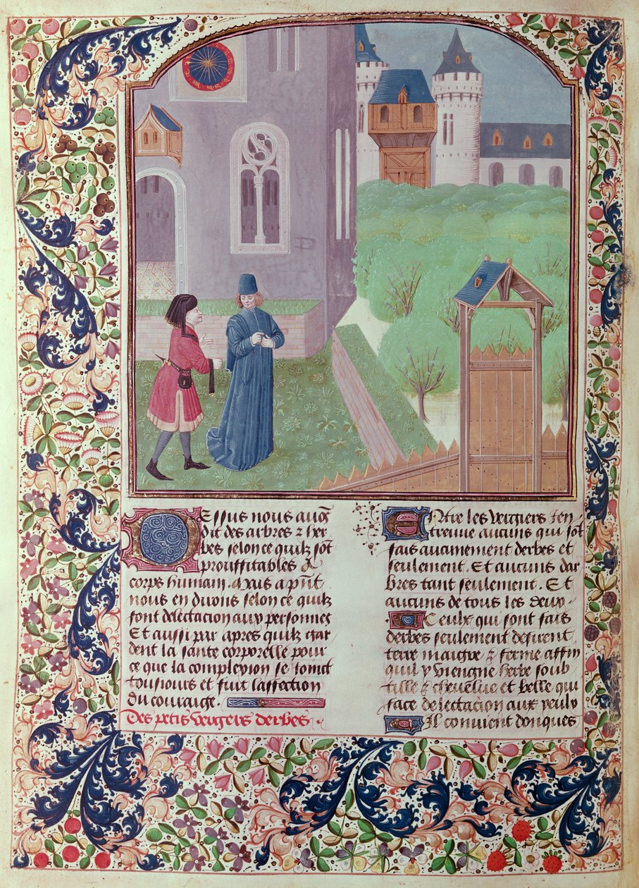 Ms 5064 f.202v The Orchard, ilustracja z Le Livre des Prouffitz Champestres autorstwa Pietro de Crescenzi (1230-132021) autorstwa French School