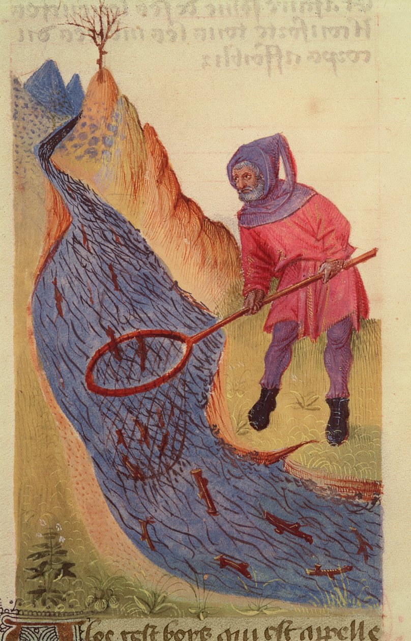 Ms 59 fol.3r Rybak, z Grand Herbier autorstwa French School