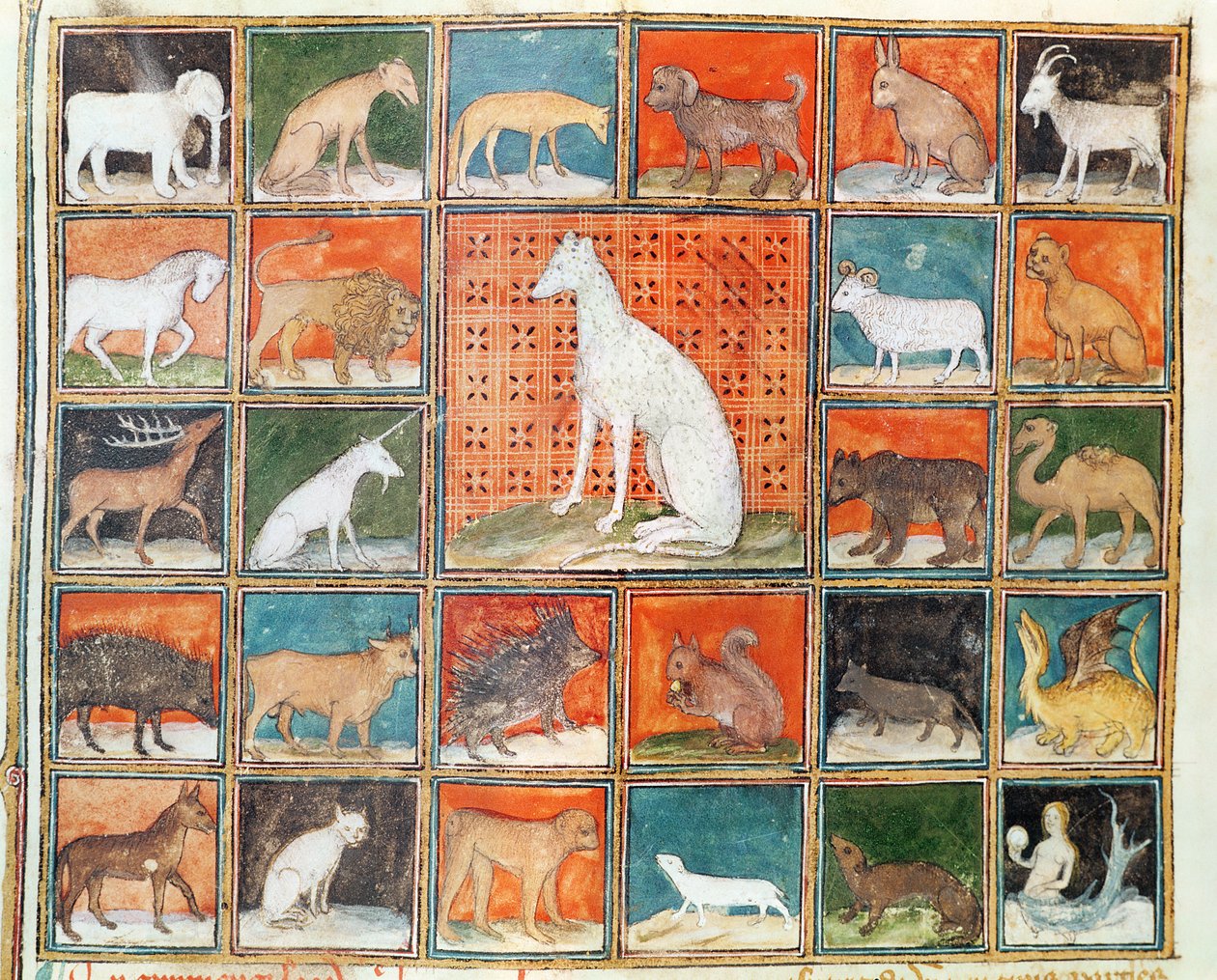 Ms 993 fol.254v Właściwości zwierząt: ssaki z Le Livre des Proprietes des Choses Jeana Cordichona autorstwa French School