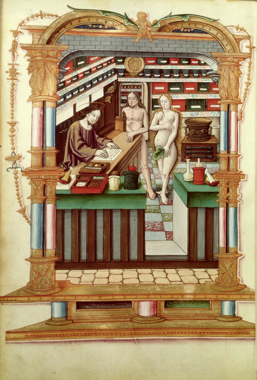 Pani Fr 1537 Chrystus Aptekarz z Adamem i Ewą, z Chants royaux sur la Conception Couronnee du Puy de Rouen autorstwa French School