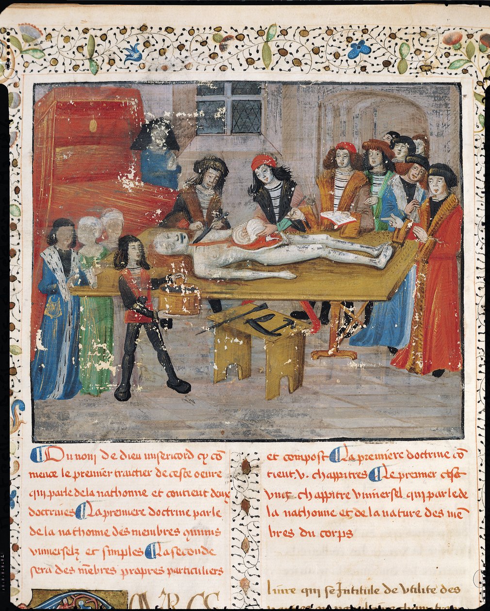 Ms H 184 fol.14v Lekcja sekcji na Wydziale Lekarskim w Montpellier, z „La Grande Chirurgie” Guy de Chauliac, 1363 autorstwa French School