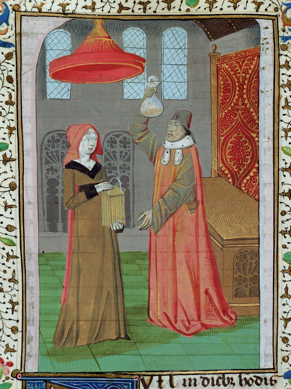 Pani H 7 fol.164r Lekarz badający mocz św. Elżbiety, czy jest w ciąży, z Biblii Jana XXII autorstwa French School