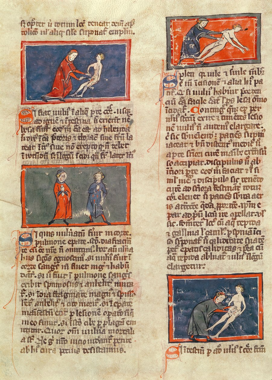 Pani H 89 fol.21v Figury anatomiczne z wydania „Księgi chirurgii” Rogiera de Salerne autorstwa French School