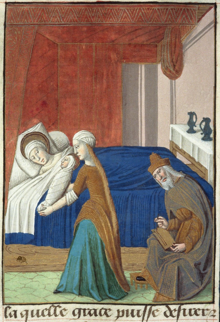 Pani Hunter 36 f.31v Narodziny Jana Chrzciciela, z Vita Christi, Ludolf z Saksonii, ok. 1300-7778 autorstwa French School