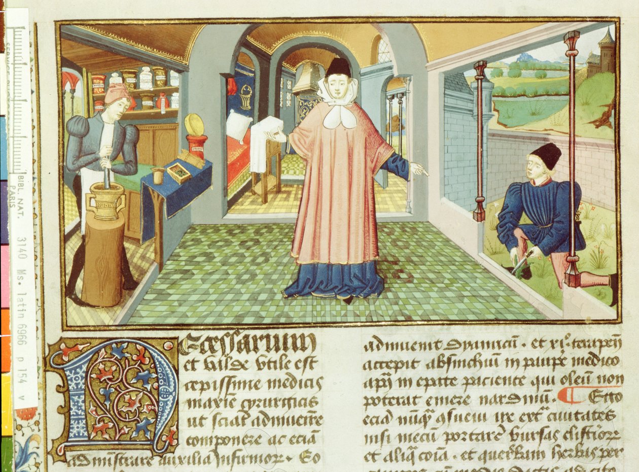 Pani Lat 6966 fol.154v Cięcie roślin i przygotowanie lekarstw, od LAntidotaire Bernard de Gordon autorstwa French School
