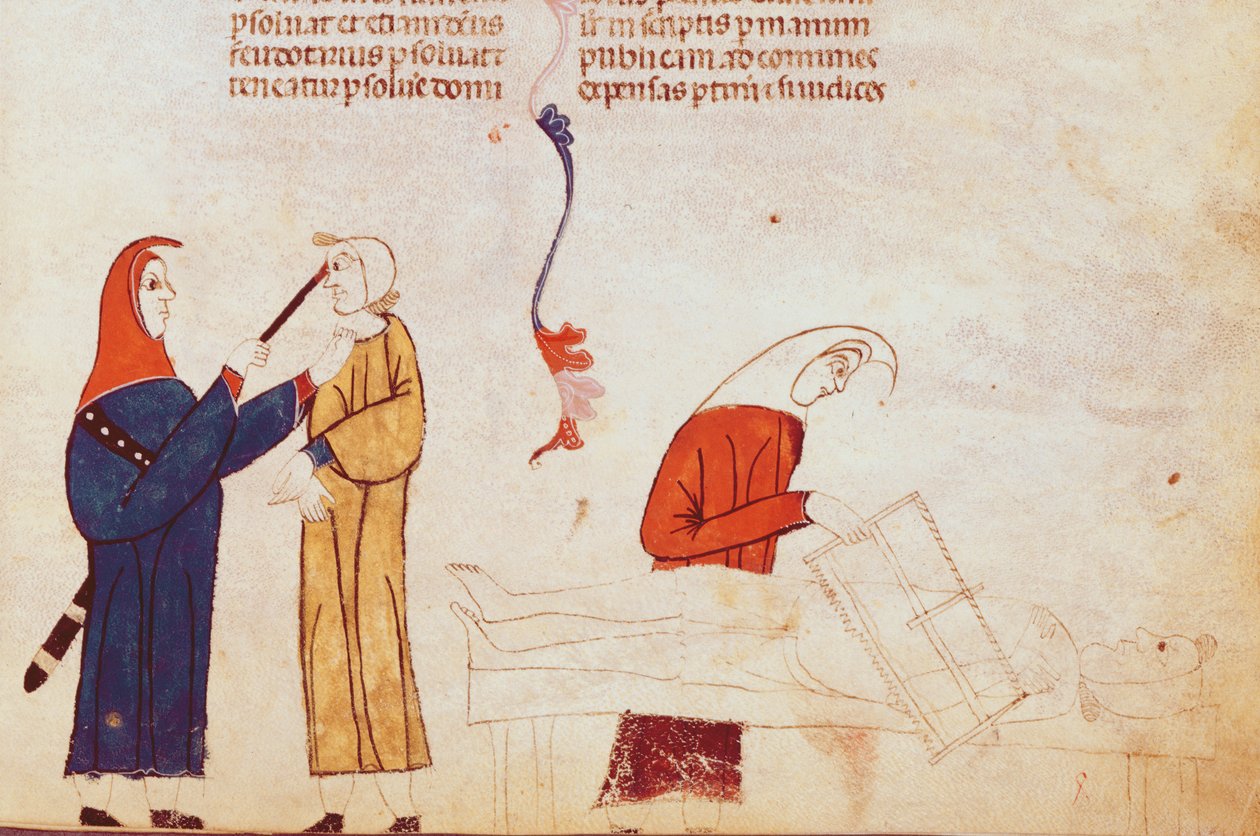 Ms Lat 9187 fol.24 Scena tortur, z Les Coutumes de Toulouse autorstwa French School