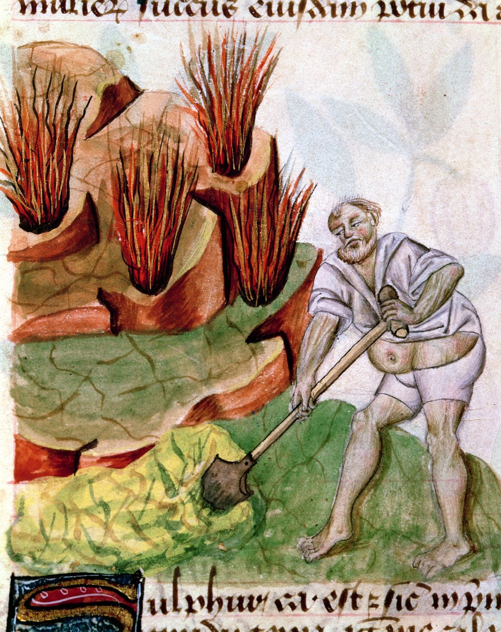 Pani Lat 993 L.9.28 f.123v Poszukuje siarki, z Dioscorides De Herbis autorstwa French School
