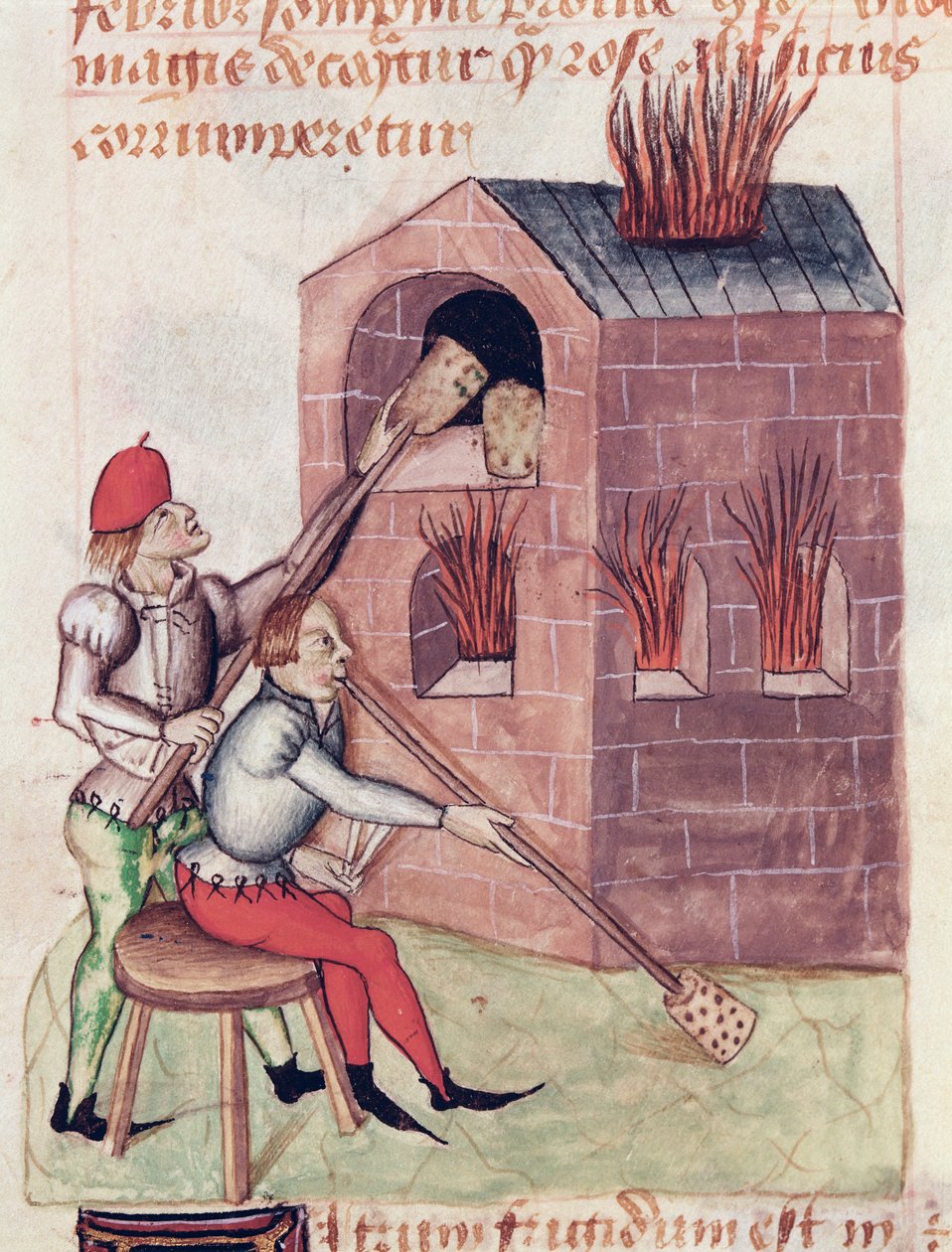Ms Lat 993 L.9.28 f.138r Dmuchawy do szkła, z Tractatus de Herbis by Dioscorides autorstwa French School