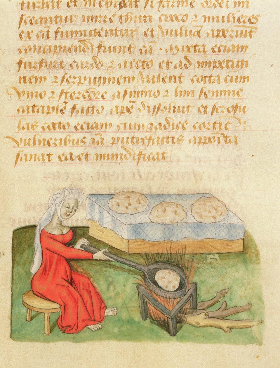 SM. Tractatus de Herbis by Dioscorides, fol.142r Pieczenie Bułek autorstwa French School