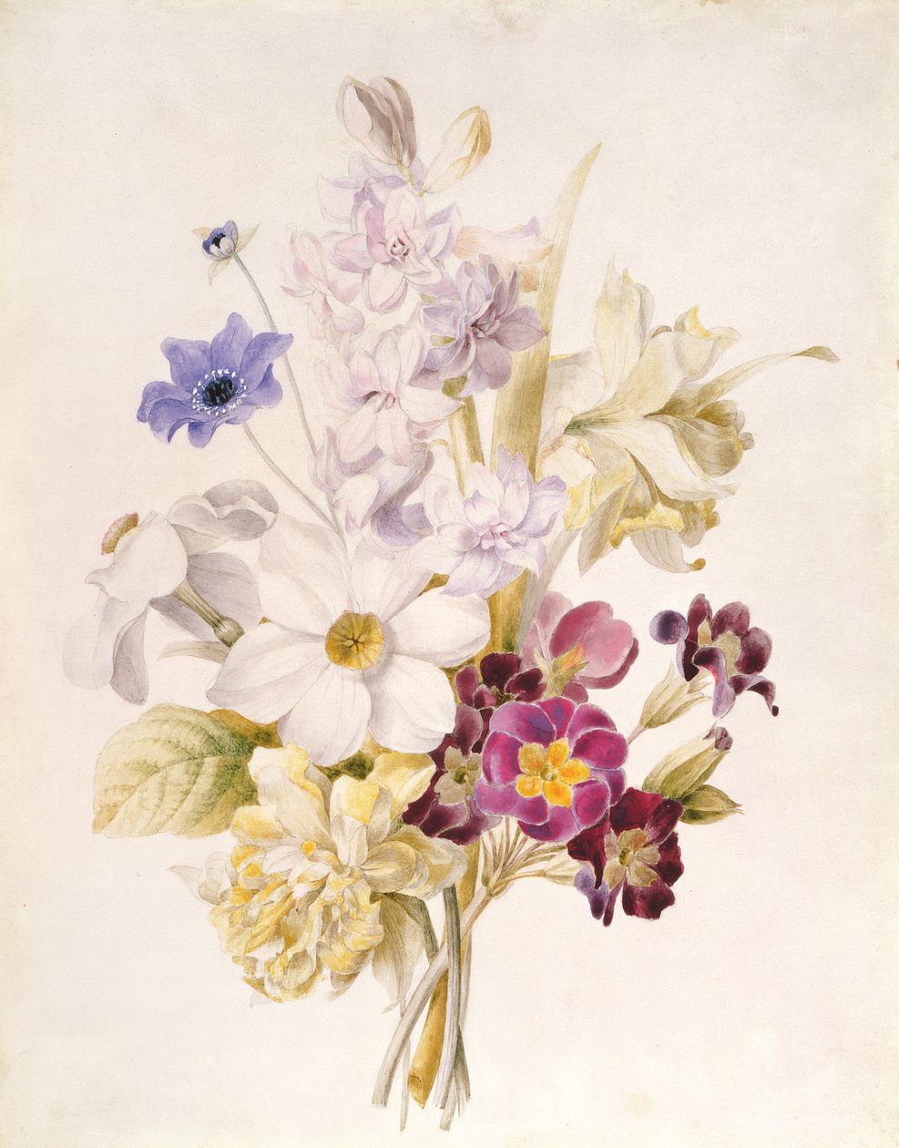 Narcyz i inne kwiaty, 1840 (wc na papierze) autorstwa French School