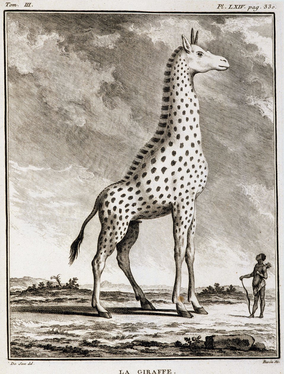 Talerz historii naturalnej: La Giraffe - w „Historii naturalnej, ogólnej i szczegółowej” Buffon autorstwa French School