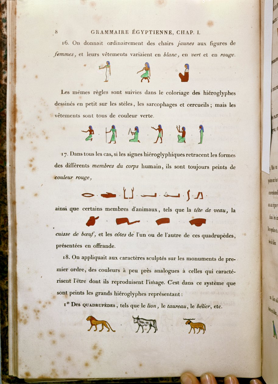 Uwagi dotyczące kolorowania niektórych hieroglifów z Grammaire Egyptienne Jeana Francois Champollion (1790-1832) 1836 autorstwa French School