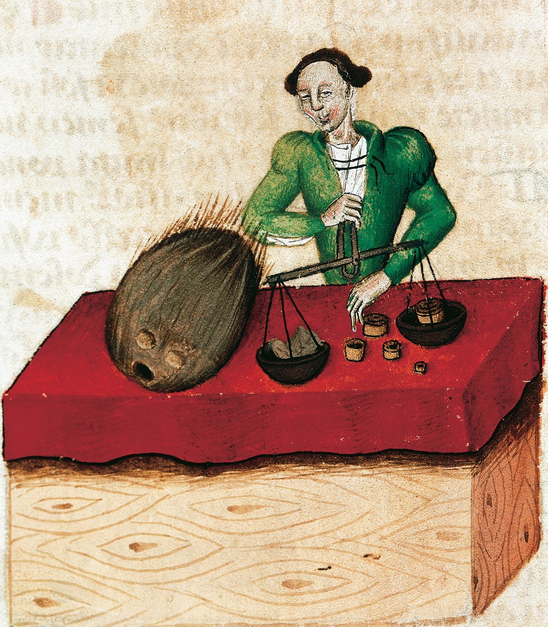 Kupiec gałki muszkatołowej, miniatura z Tractatus de herbis, Francja XV wiek. autorstwa French School