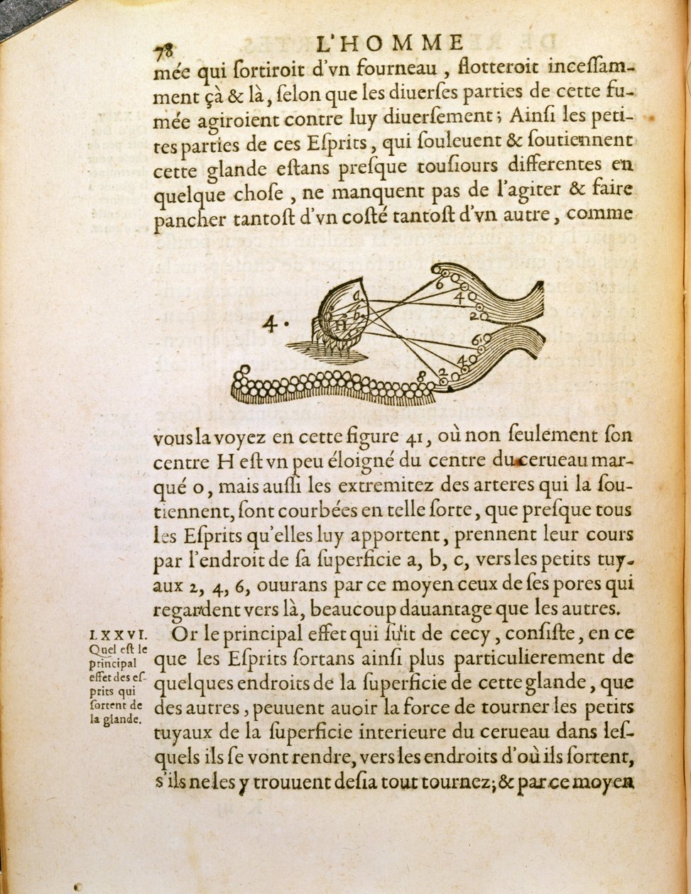 Schemat optyczny z De Homine Figuris Rene Descartes (1596-1650) opublikowany w Hadze, 1662 autorstwa French School