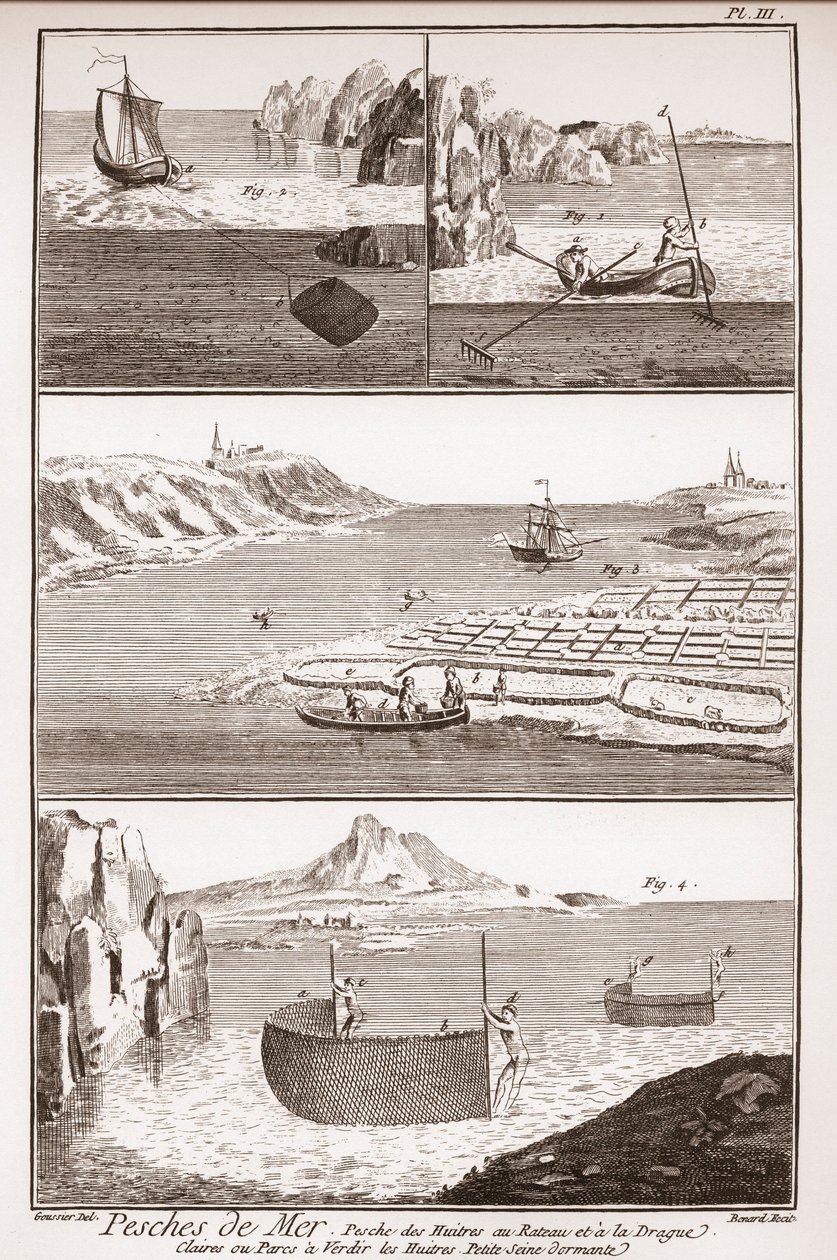 Łowienie ostryg – „The Great Encyclopedia, czyli Dictionnaire Raisonne des Sciences, des Arts et des Metiers” (Encyklopedia lub Słownik Nauk, Sztuki i Zawodów) autorstwa Denisa Diderota (1713-1784) i Jeana d