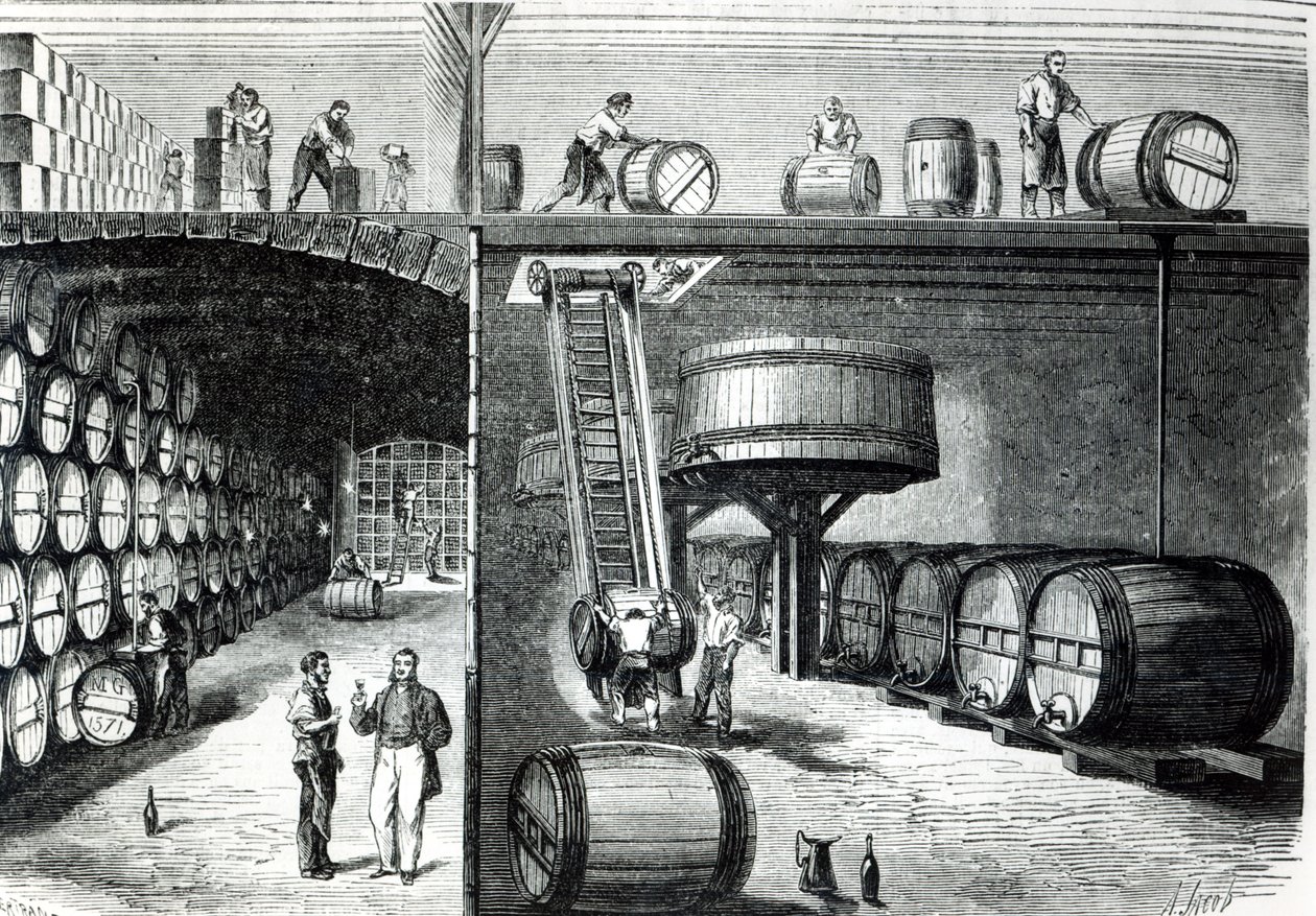 P. Morel i F. Souzac Piwnice i warsztaty w Bordeaux z Le Monde Illustre, 1864 autorstwa French School