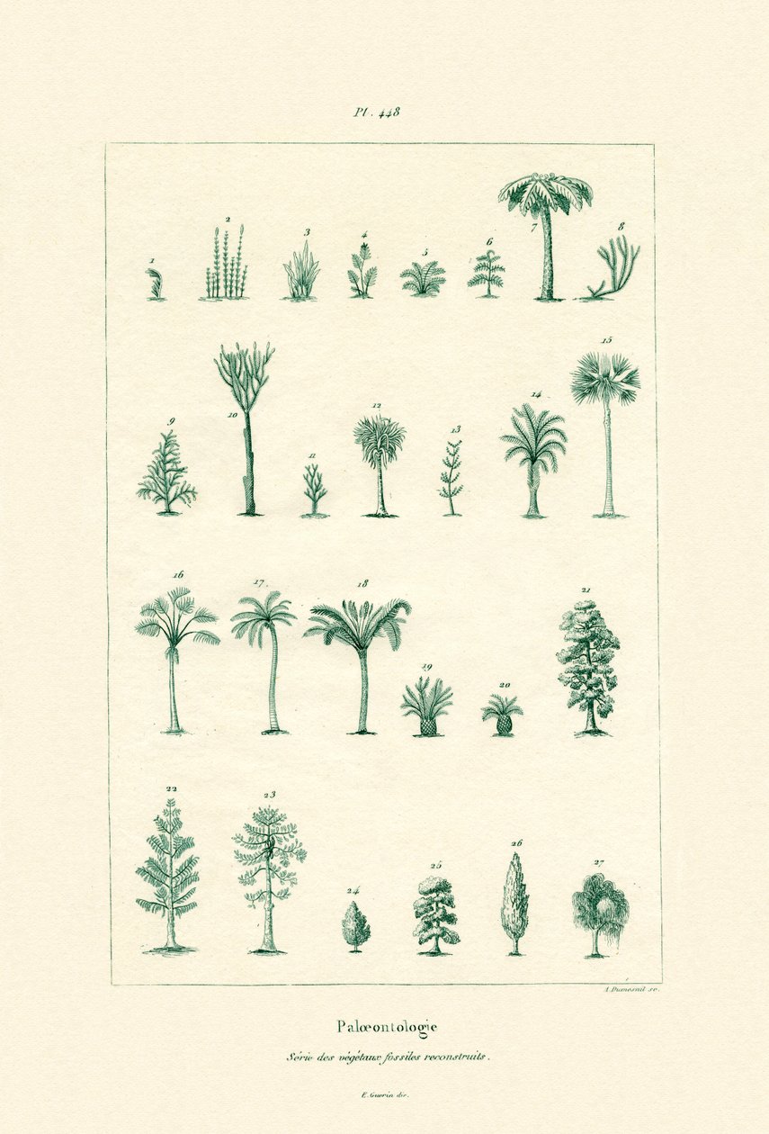 Paleontologia, 1833-39 autorstwa French School