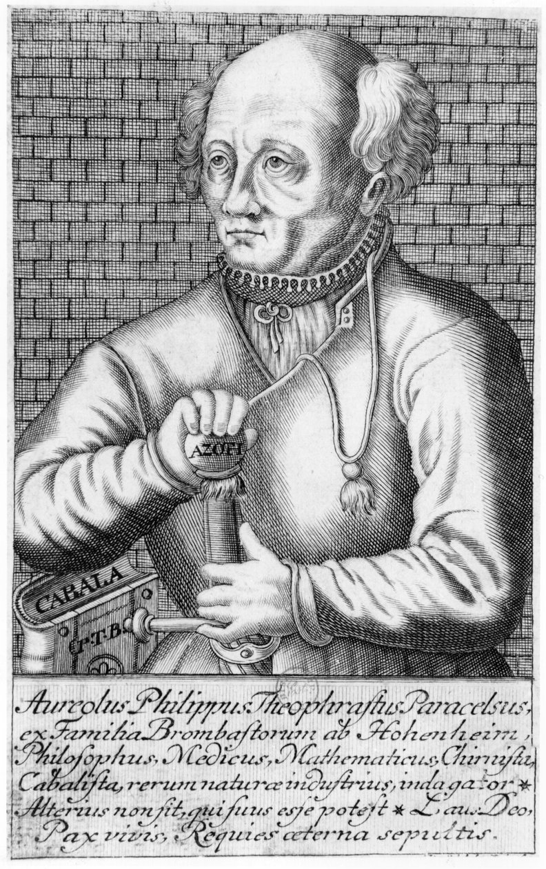 Paracels (1493-1541) autorstwa French School
