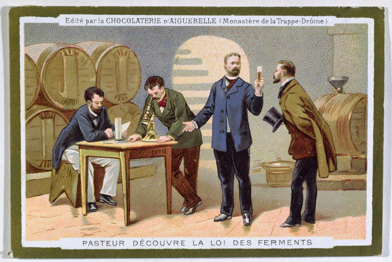 Pasteur odkrył fermentację, wizytówkę reklamową Chocolaterie d