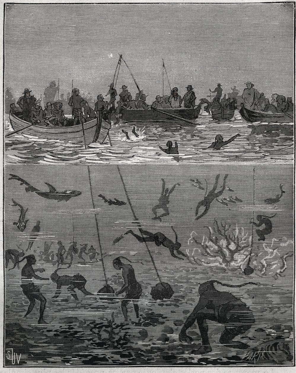 Perłowe brzoskwinie na Cejlonie (dzisiejsza Sri Lanka) w XIX wieku. Grawer z 1885 roku w „Les arts et metiers illustres” Adolphe BITARD. autorstwa French School