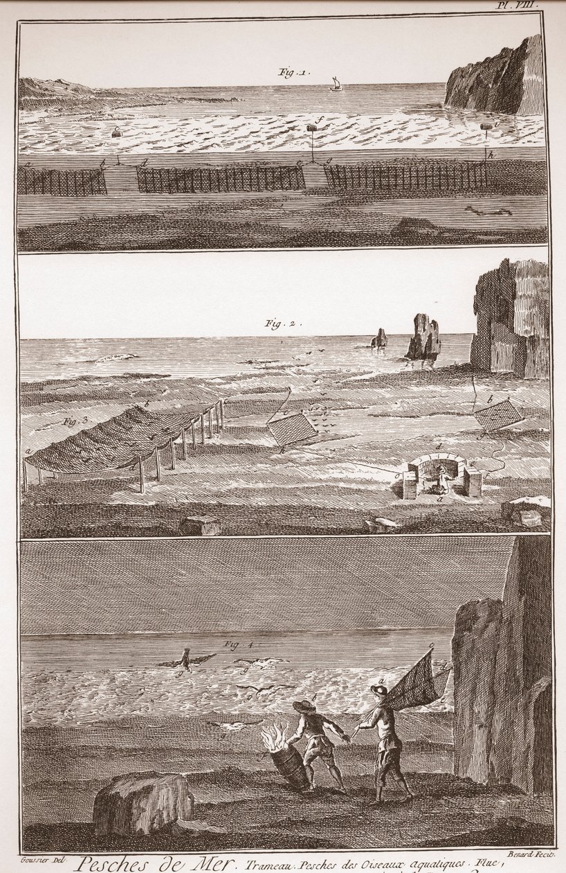 Peche de Mer - Trameau - Waterbird Fishing - „” The Great Encyclopedia lub Dictionnaire Raisonne des Sciences, des Arts et des Metiers” (Encyklopedia lub słownik nauk, sztuki i zawodów) autorstwa Denisa Diderota (1713-1784) i Jeana d „Alembert (171 autorstwa French School
