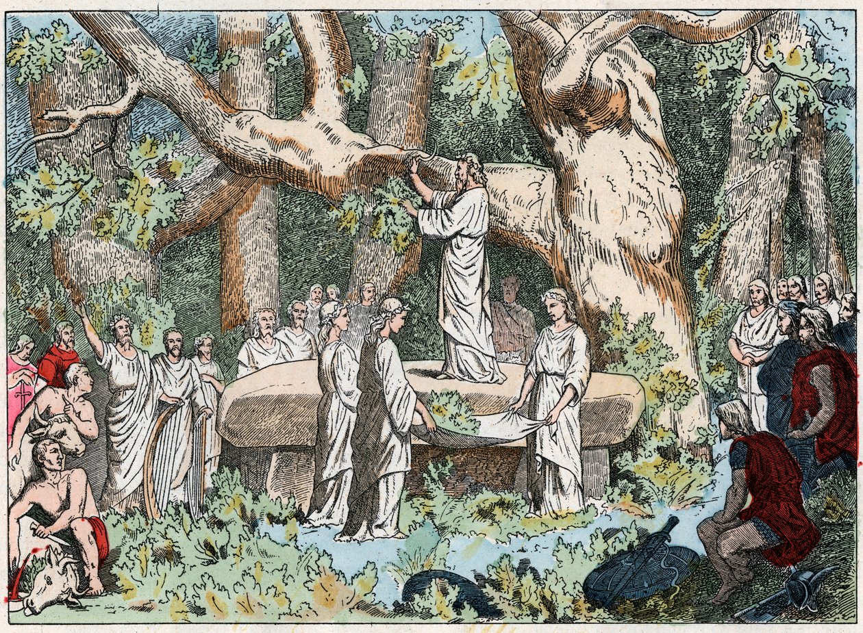 Zbieranie jemioły druidom w Galii, koniec XIX w. (rytowanie) autorstwa French School
