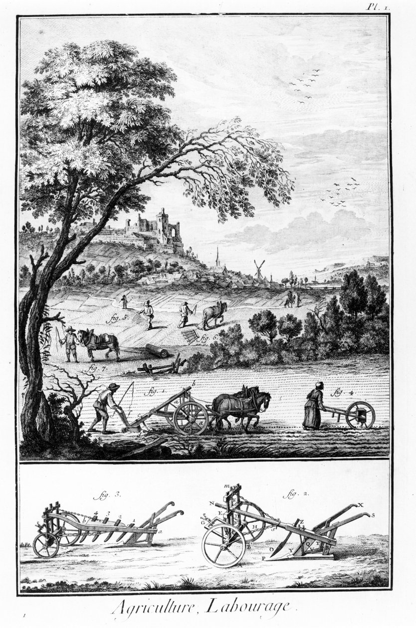 Tablica Encyklopedii Diderota i Alemberta: Rolnictwo i orka. 18 wiek. autorstwa French School
