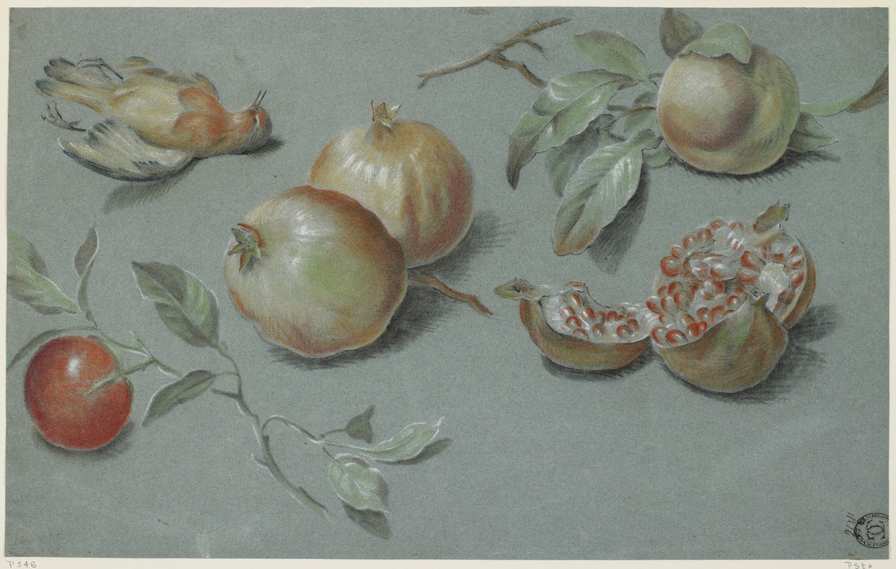 Granaty i Martwy Ptak, pocz. XIX w. (kreda na papierze) autorstwa French School