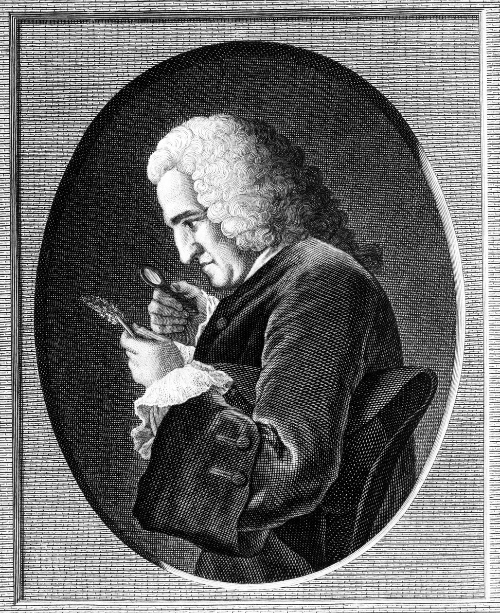 Portret Bernarda de Jussieu (1699-1777) autorstwa French School