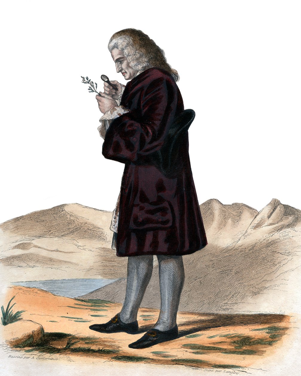 Portret Bernarda de Jussieu (1699-1777), francuskiego przyrodnika. autorstwa French School