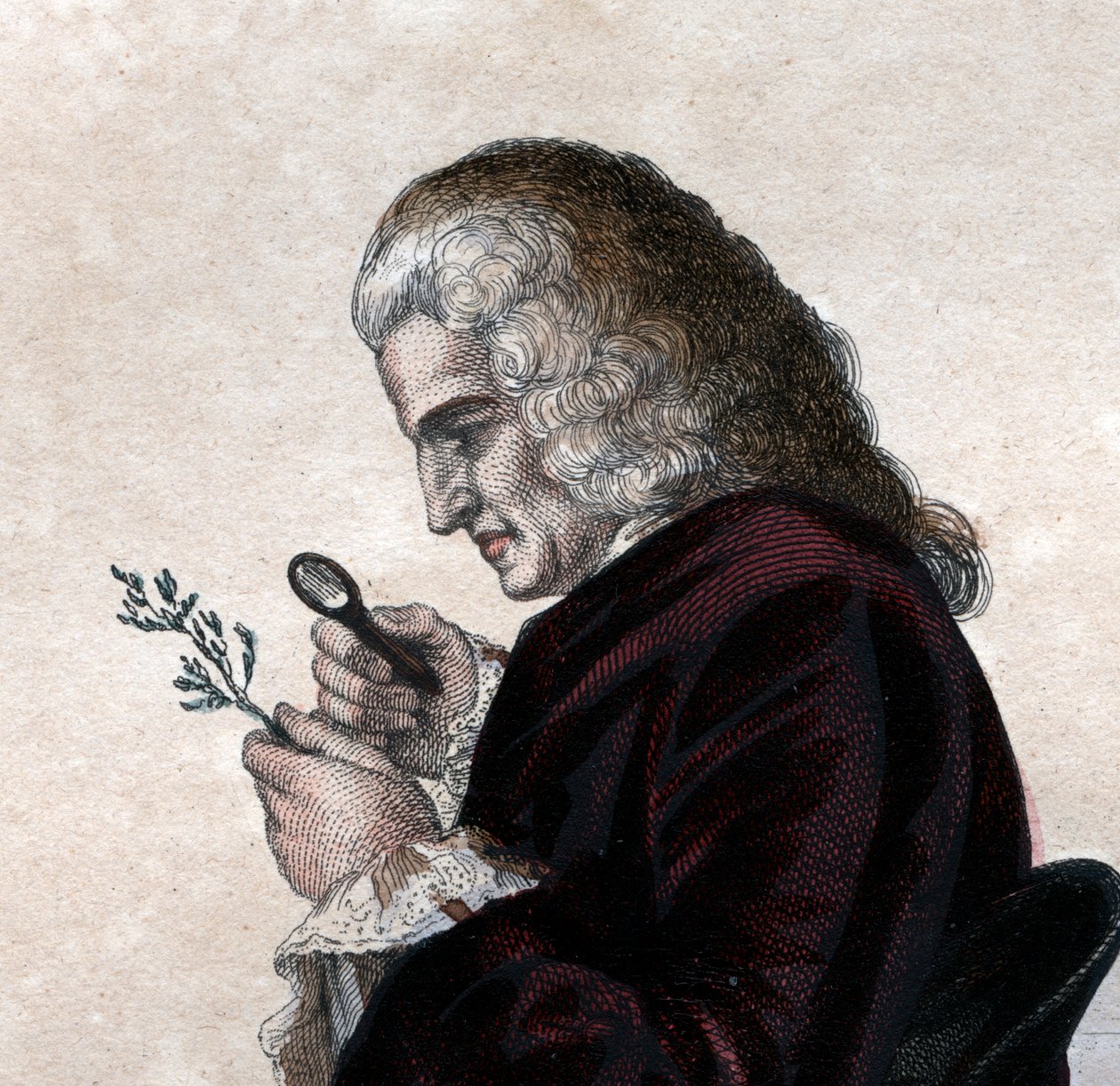 Portret Bernarda de Jussieu (1699-1777), francuskiego przyrodnika. autorstwa French School