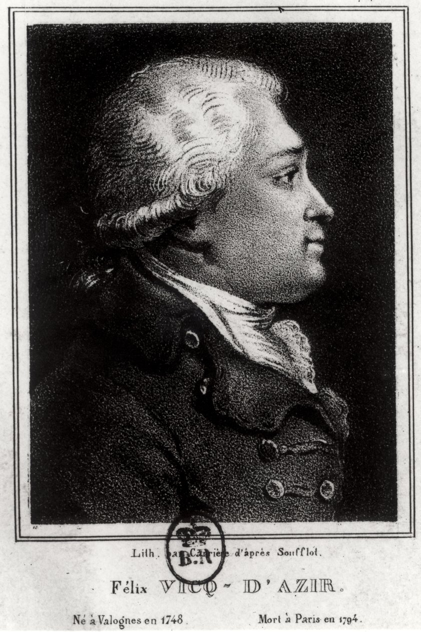 Portret Felixa Vicq dAzyra (1748-94) autorstwa French School