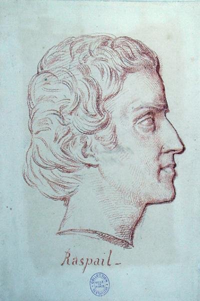 Portret Francois Vincent Raspail (1794-1878) (czerwona kreda na papierze) autorstwa French School