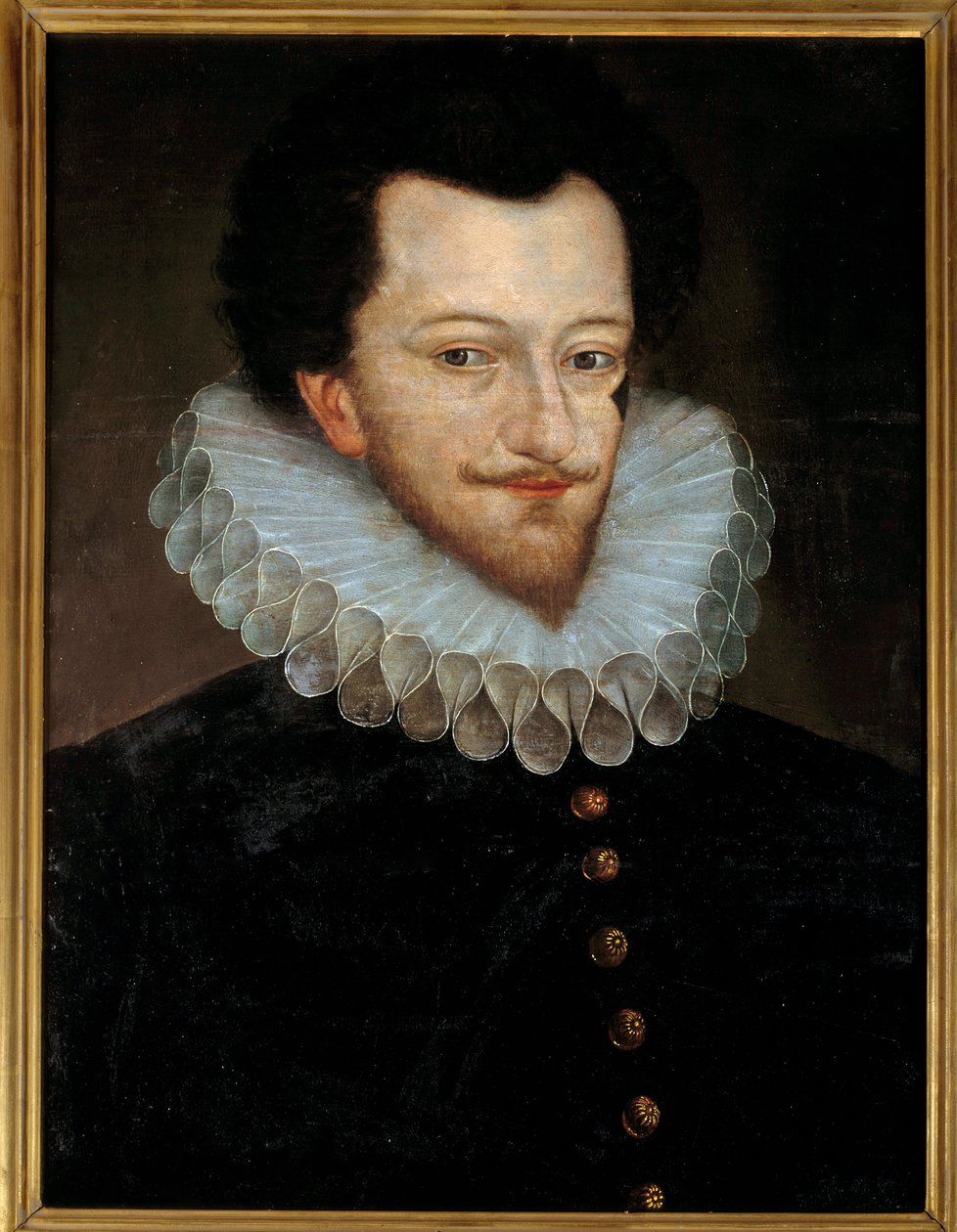 Portret Henryka I Lotaryngii, trzeciego księcia Guise zwanego blizną (1550-1588) Anonimowy obraz na drewnie Szkoły Francuskiej. XVI w. niedz. 0,66x0,46m² autorstwa French School