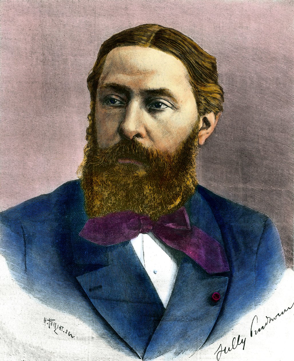 Portret Sully