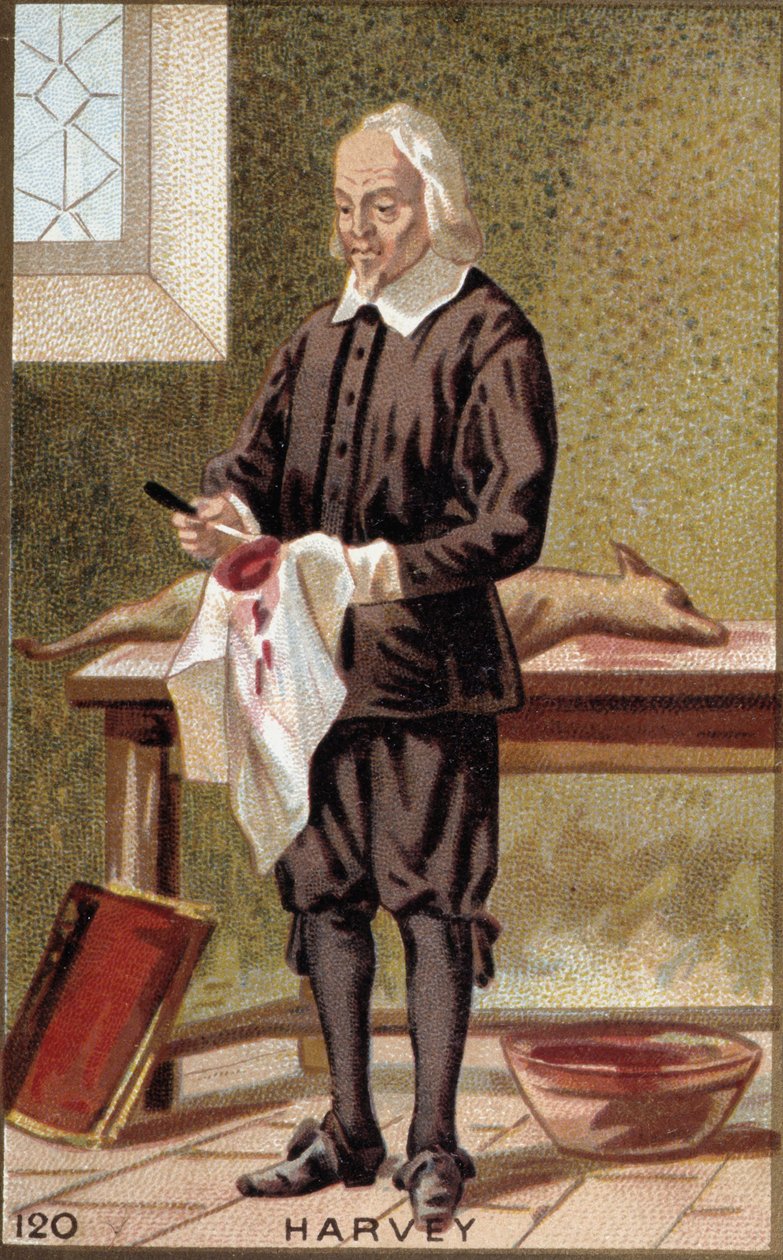 Portret Williama Harveya (1578-1657), angielskiego lekarza. autorstwa French School