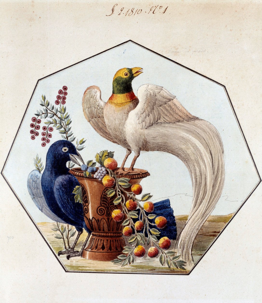 Projekt stołu z ptakami w porcelanie autorstwa Alexandre Brongniart (1770-1847). 1810 Sevres, archiwum Manufaktury de Sevres autorstwa French School